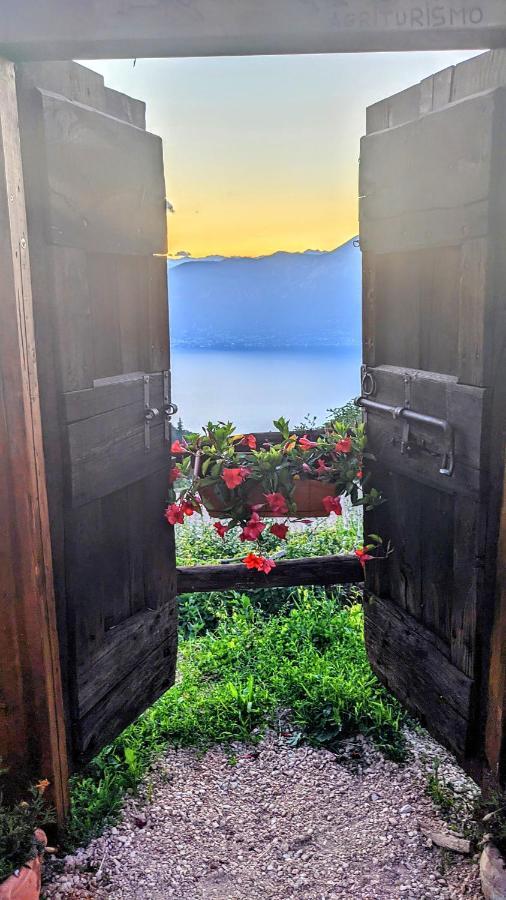 Agricampeggio La Part Only Camper سان زينو دي مونتانا المظهر الخارجي الصورة